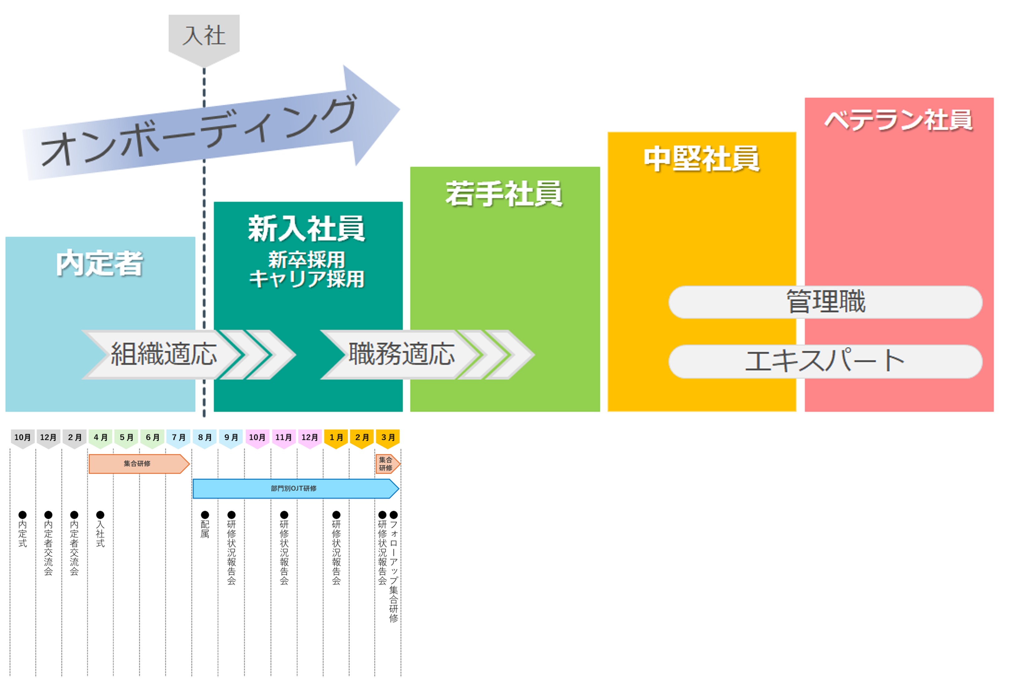 人材育成制度